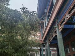 -莲池书院博物馆