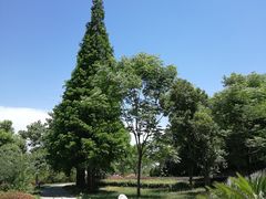 -冶山国家矿山公园