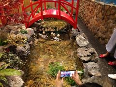 -綱元·海鲜豆捞(明州里店)
