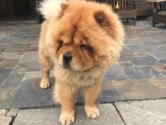 -看见远方·莫干遥远的山民宿