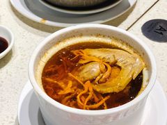 虫草花炖老鸽汤-香港新发烧腊茶餐厅(书城店)