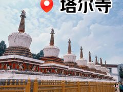 -塔尔寺