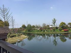 -上海多利农业发展有限公司