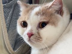 -爱诺耐芙动物医院(万博店)