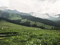-新疆那拉提国家旅游度假区