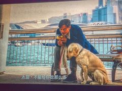 -天幕新彩云国际影城(激光巨幕店)