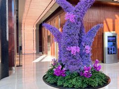 -上海静安香格里拉大酒店
