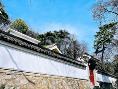 -北极阁公园