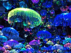 -天津梵高星空艺术馆(天河城旗舰店)