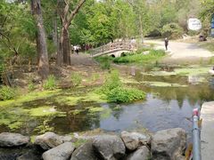 -白水寺森林公园