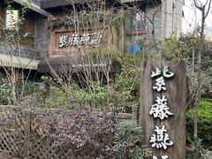 -紫藤燕语(兴澄银座店)