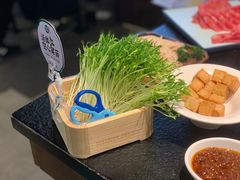 -阳坊涮肉(西直门凯德mall店)