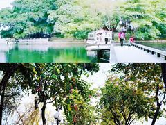 -东山湖公园