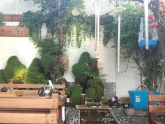 景观位-丽江庭院之爱在路上(西单店)