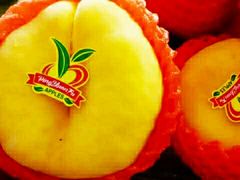 -百果园(郑东商业中心店)