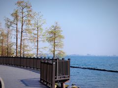 -大理洱海