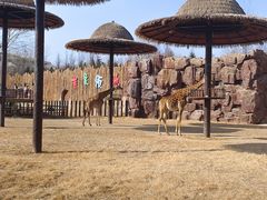 -济南野生动物世界