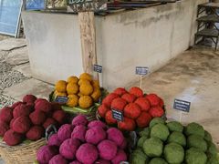 -大象粑粑造纸公园