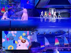 -海合安武汉极地海洋公园