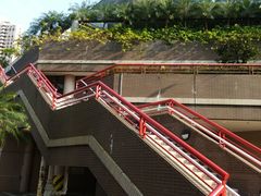 -香港大学