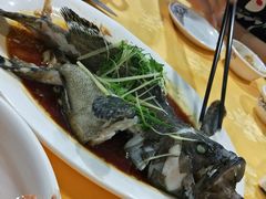 老虎斑-蚝专家(北滘店)
