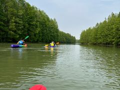 -上海海湾国家森林公园