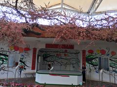 -南戴河国际娱乐中心