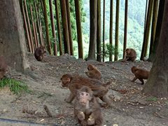 -太阳湾风景区