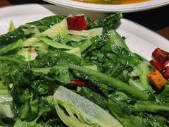 -双流老字号董蹄花(机场南四路店)