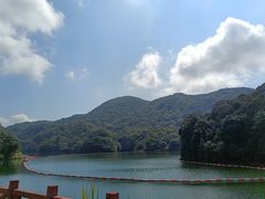 -广州市石门国家森林公园