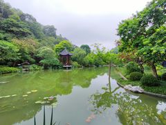 -云溪植物园