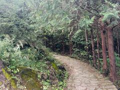 -北京凤凰岭