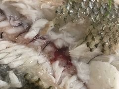 -海晖酒楼·顺德鱼生(荣华店)