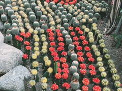 -南山植物园