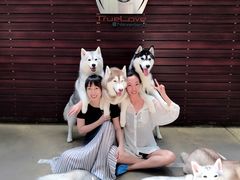 -TrueLove @ Neverland (Husky Cafe)