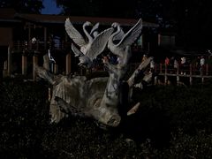 -北海金海湾红树林生态旅游区