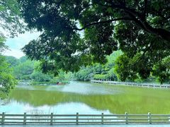 -广州市帽峰山景区