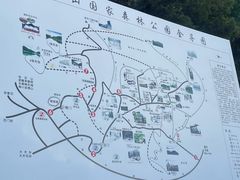 -武陵山森林公园