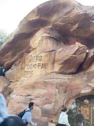 -翱翔飞越地平线