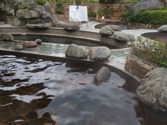 -雅安楠水阁温泉酒店