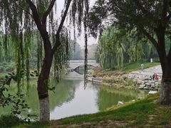 -大兴滨河森林公园