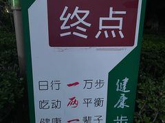 -大兴滨河森林公园