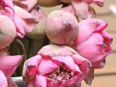 -迪瓦娜按摩和水疗中心