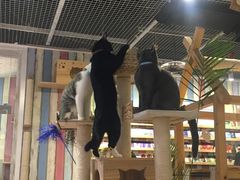 -小时光咖啡馆(开森度假森林店)