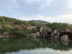 -白马涧龙池景区