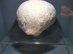-天津自然博物馆