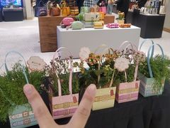 -COACH蔻驰(星光68广场店)