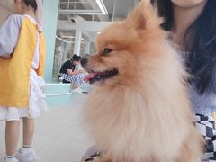 -怪兽屋·羊驼·猫咖·狗咖(俊华广场店)
