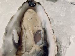 法国阿诺-Oyster Talks 四度蚝法餐厅