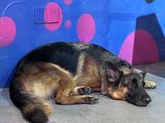 -KingBull私教健身&格斗订制(龙井商业中心店)